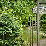 Abaca Messidor By Happyculture