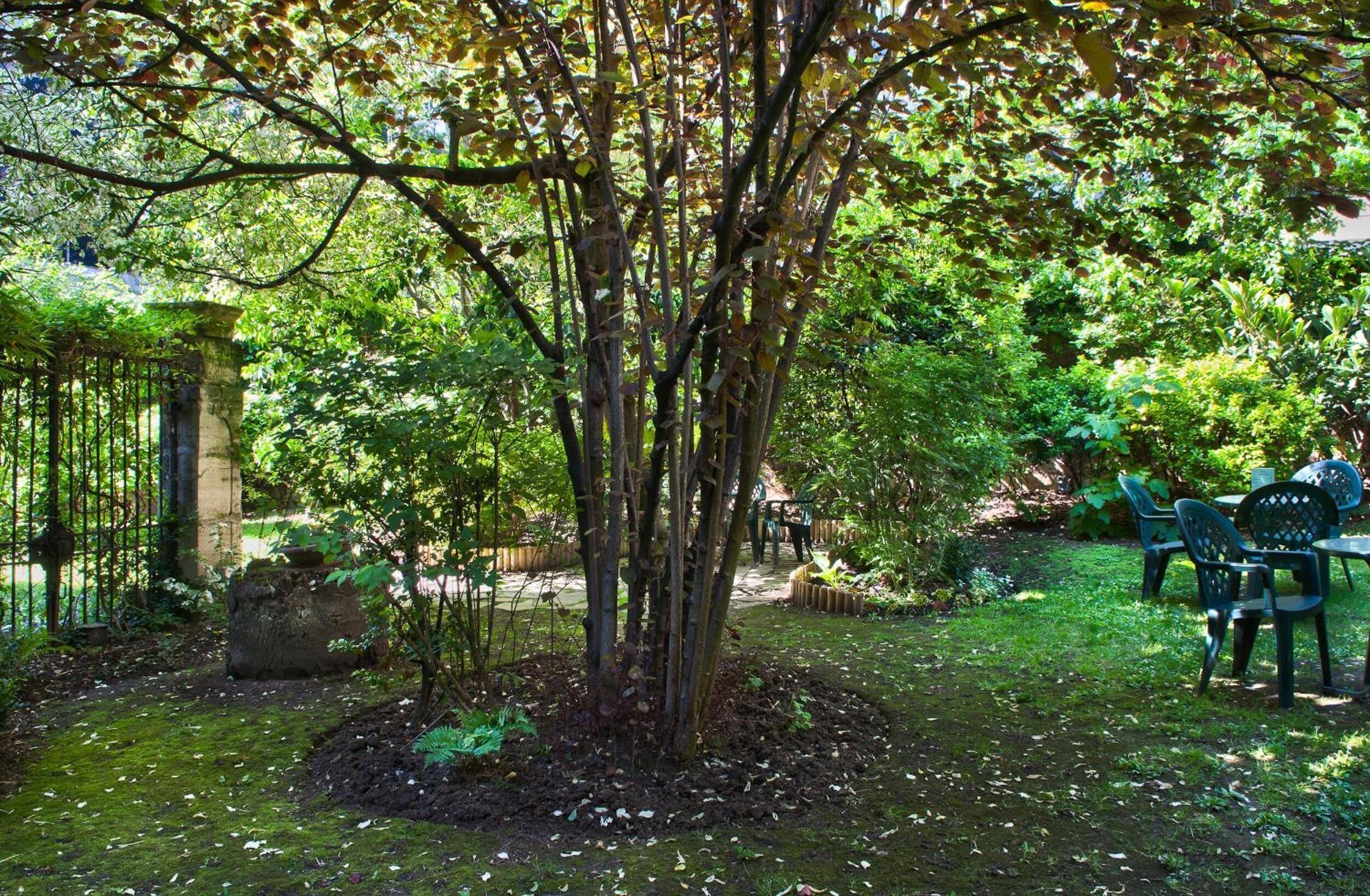 Abaca Messidor By Happyculture